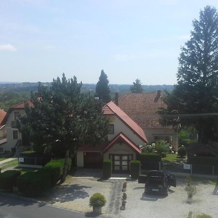 Friends Villa Apartments Heviz Exterior foto